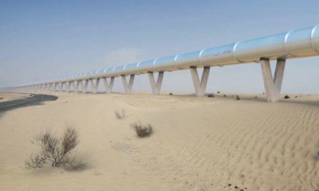 Китайці клонують творіння Маска