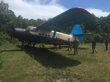 Контрабандисти на літаку переправляли до Європи бурштин і зброю