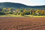 Продаж землі, фото: Zik