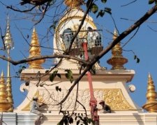 У Китаї мертвий малюк ожив перед кремацією