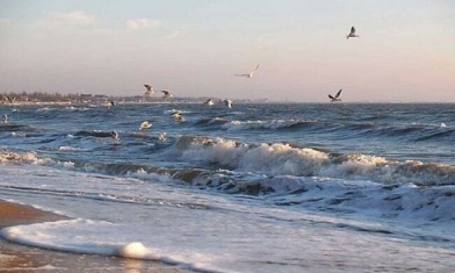 Курорты Приазовья оказались под угрозой холеры