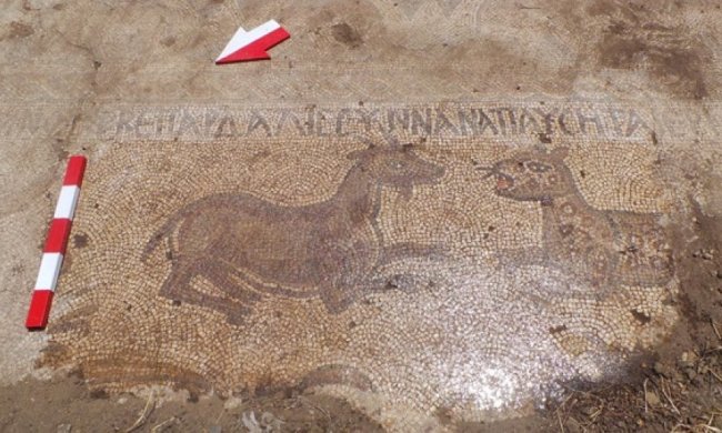 У Туреччині виявили мозаїку з біблійними текстами