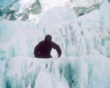 Снігова людина зірвала американцям прямий ефір
