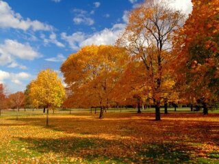 Погода в Украине, фото из открытых источников