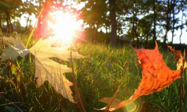 На вихідних в Україні прогнозують до +32°С