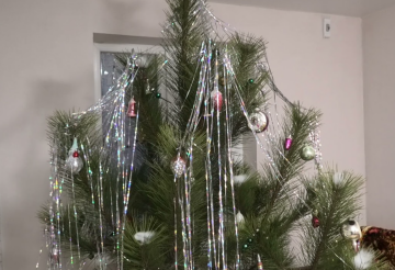 Новогодняя елка, изображение из соцсетей