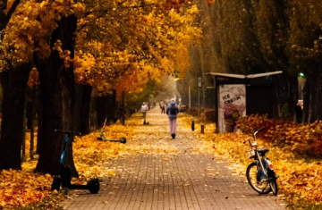 Українці, осінь, фото із соцмереж