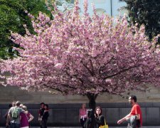 Синоптики приголомшили прогнозом на весну: +30 в квітні і холоднеча в травні