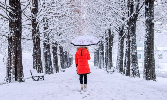 Погода зима. Фрипик фото