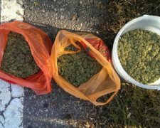 У мешканця Мелітопольщини знайшли 20 кілограм марихуани