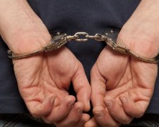 Поліція розкрила жорстоке вбивство київської пенсіонерки