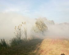 На Харьковщине ветер принес огонь с России - с адским пламенем боролись дважды