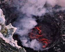 Находка в Антарктиде шокировала ученых