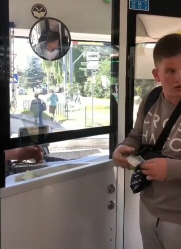 Історія з водієм, скріншот: TikTok