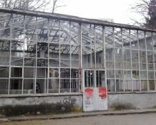 В головному парку Львова почали ремонтувати оранжерею