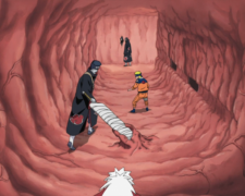 Жіноче здоров'я: що потрібно знати про піхву