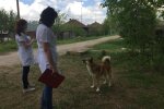 Скажена кусака: в Одесі пенсіонерка з собакою стала "грозою" району