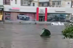 Ливень, дождь, кадр из видео