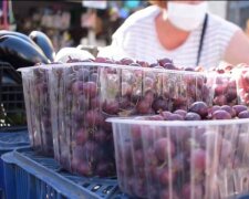 Під Дніпром продають ягоди за скаженими цінами - компот вийде "золотим"