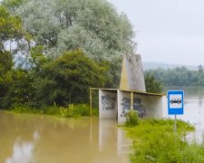 Одиозная Ницой нашла виновных в потопе на западе Украины - "Плачут испуганные дети"