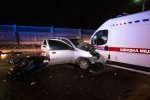 В Києві на Південному мосту Mercedes збив на смерть лося, відео 18+