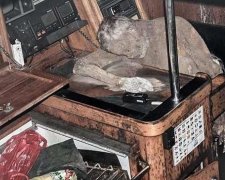 У Тихому океані знайшли яхту з муміфікованим чоловіком