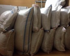 Прикордонники виявили на теплоході майже 700 кг фундука