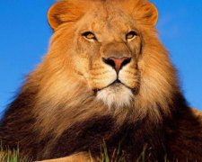 5 простых способов влиять на других людей
