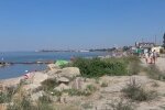 Курорт під Запоріжжям заполонили "голодні" медузи - жалять в живіт і в попу, біжіть