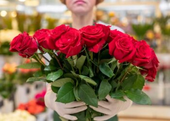 Розы. Фото Freepik