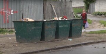 Сміттєвий бак, скріншот із відео