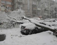 Транспортний колапс та перші жертви: Європу паралізували снігопади