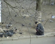 Російські пропагандисти розповіли, як українці відбирають хліб у голубів