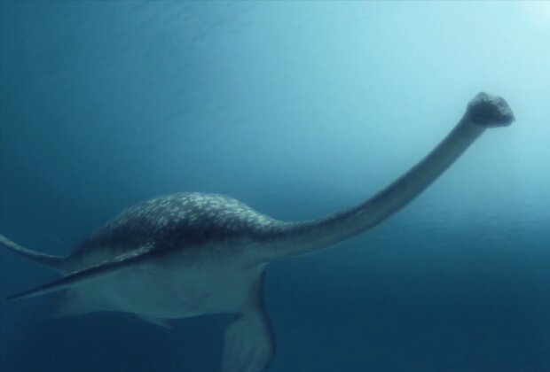 Плезиозавр, кадр из видео