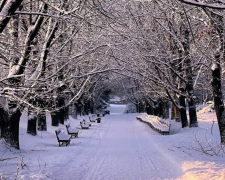 Зима, сніг, погода, фото із соцмереж