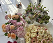 Букеты цветов, котик, изображение: Знай.ua