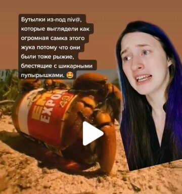 История про жуков, скриншот: TikTok