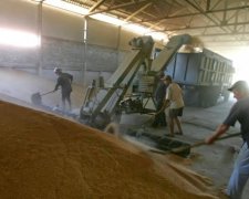 Стало известно, на чем больше всего зарабатывает Украина