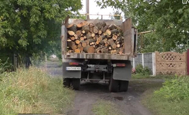 Как закупить дрова перед отопительным сезоном: упрощенная процедура для украинцев