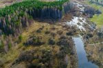 Зеленський перерахує дерева в затопленому Прикарпатті