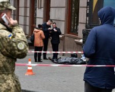 Вбивство Вороненкова: українцям пообіцяли нові факти