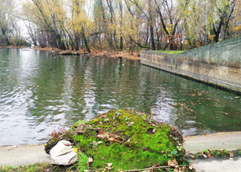 Река Лыбидь / фото