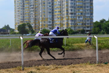 скачки на Одесском ипподроме \ фото Бессарабия информ