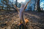 Прогноз погоди на 2 квітня, фото: Главком