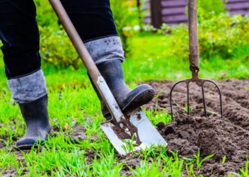 Город, лопата, вила, зображення з вільних джерел