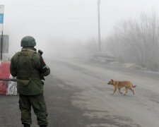 Стріляють усім, що під руки попадає: Донбас трясе від звірства російських окупантів, є поранені