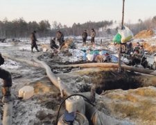 Пограничники с воздуха нашли огромные янтарные ”плантации”