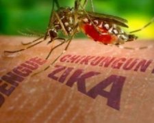 Вірусом Зіка заразились 69 тисяч бразильців