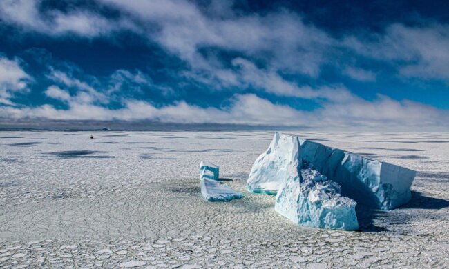 «Плавание между льдом и айсбергами в море, Антарктика» Фото: Gonzalo Bertolotto/via WMO