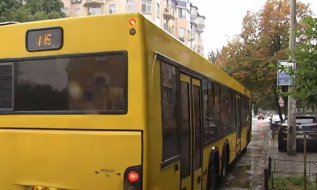 Общественный транспорт. Фото: Youtube